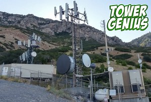 What is a cell tower worth? Ask us, we have seen thousands.