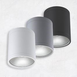 Alcon 11235-DIR LED Cylinder Ceiling Light