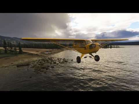 Camping in the Cub * MSFS 2024