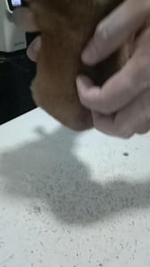 14M views · 201K reactions | On our way to the shelter, we came...