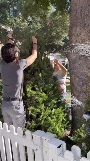 Christmas In The Park!