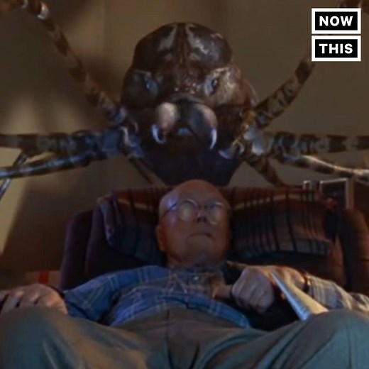 7.3M views · 29K shares | If spiders worked together, they could eat all humans in a year | NowThis Earth | Facebook