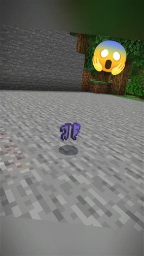 What if Elytra Breaks Mid Air? 😳💀