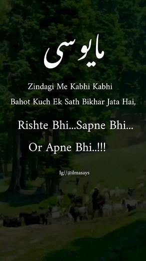 Serene Goat Herding in a Lush Green Forest