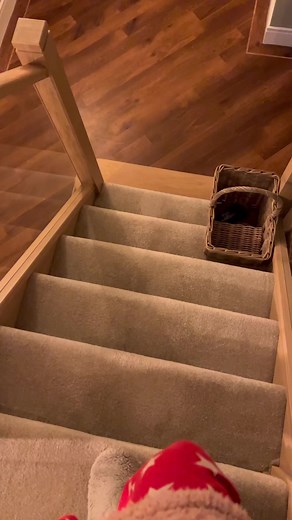 Daily Routine Highlights: Morning to Gym Life