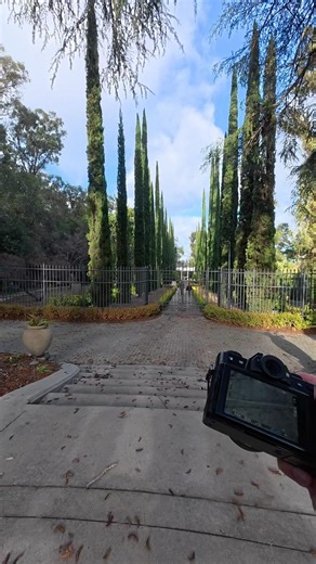 #pov with my #fujifilm XT30 ii #photography #shortsfeed #dji #djiaction5pro #tech