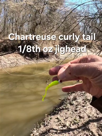 Exploring Favorite Colors: A Fisherman's Perspective