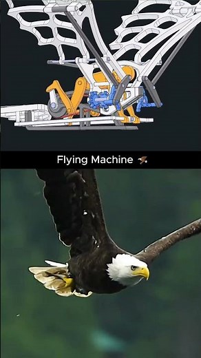 How Humans Tried to Fly Like Birds 🦅 | Da Vinci Concept ✨ #machine #technology #engineering
