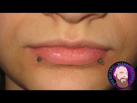 Whole Truth - Lip Piercing
