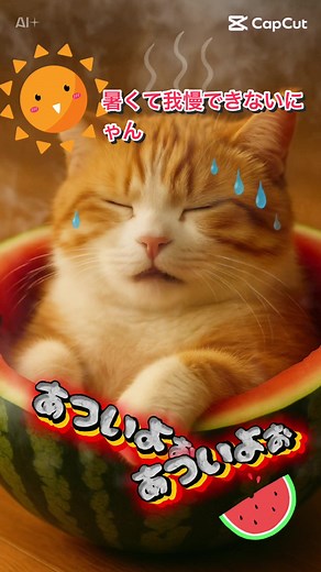 暑くて溶けそうな子猫ちゃん #暑中見舞い申し上げます #スイカの中のねこ #暑くて文句言ってるねこ
