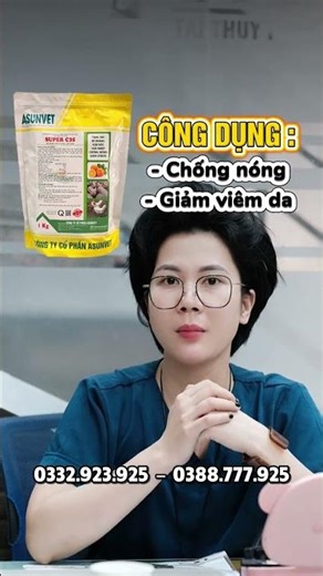 ☀️ NẮNG NÓNG ĐỈNH ĐIỂM – HEO NỔI MẨN ĐỎ, SỐC NHIỆT THÌ PHẢI LÀM SAO?