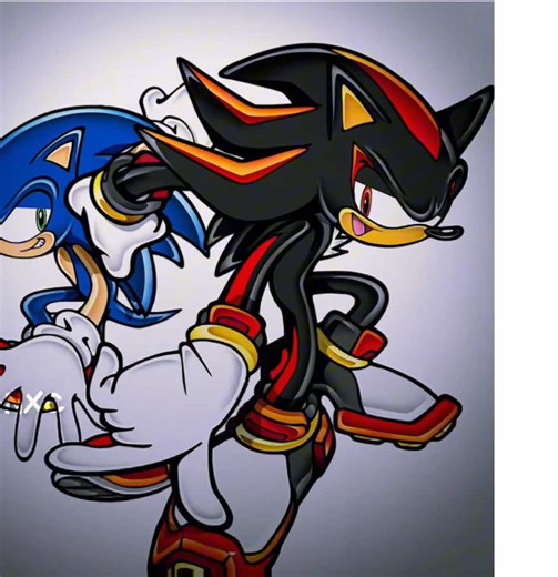 Sonic and Shadow Animation: The Sonadow Edition
