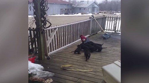 510K views · 13K reactions | I get knocked down, but I get up again! | America's Funniest Home Videos | Facebook