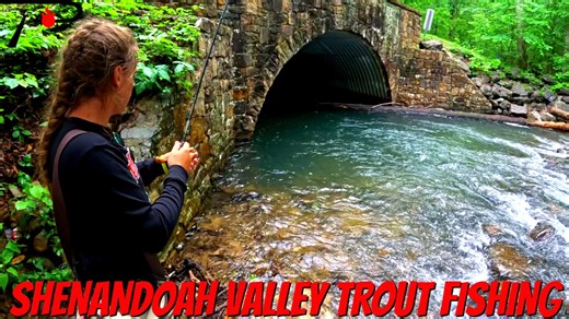 The Shenandoah Valley is famous for caves, incredible scenery and more. Meanwhile the excellent trout fishing is often overlooked. Join us on this episode of Pautzke Outdoors as we visit a popular, stocked stream to show you why this is a must-do Virginia adventure. | Pautzke Bait Company