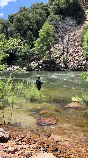 Fly Fishing Tips: Avoid Common Mistakes with Waders