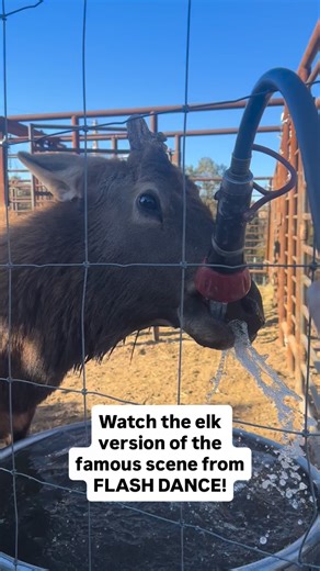 Trey is working on the choreography for his upcoming role in Elk Flash Dance! | Keith Allen West