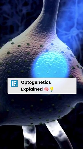 Understanding Optogenetics: Controlling Neuronal Activity with Light