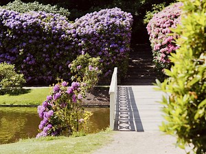 Brønderslev - en blomstrende by | Enjoy Nordjylland