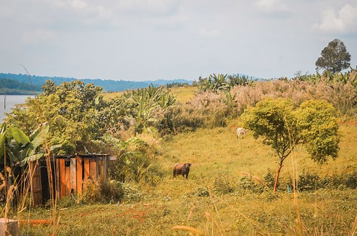 How to Visit The Cardamom Mountains and Osoam in Cambodia