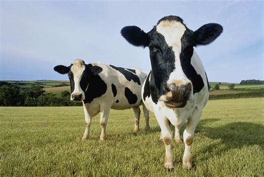 CoW Swap, a DEX Aggregator, Targets 33% Trading Boost With New Feature, More Rewards
