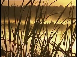 Chasse aux canards et oiseaux migrateurs au Québec