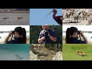 Observation.Org | Promovideo