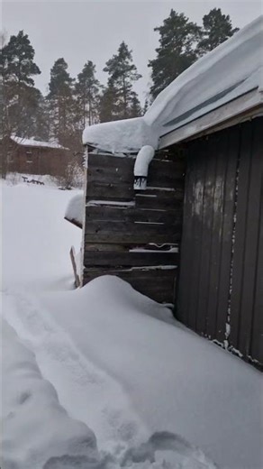 Hard work ☃️❄️