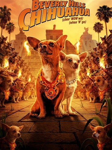 Chuyện Tình Yêu Hai Chú Chó | Phần 2 #flim #phimmoi #phimhay #movies #foryoupage