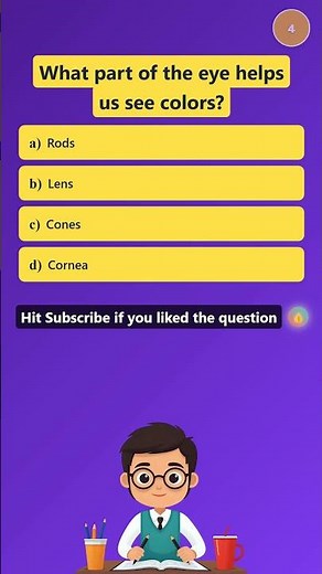 Class 12 | How Does Your Eye See Color? 👁️🌈