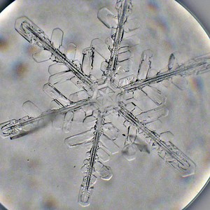 The Science of the Snowflake - Core77