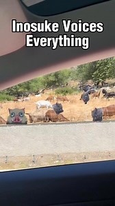 192K views · 9.5K reactions | Inosuke Voices Everything... a bunch of goats  | Bryce Papenbrook | Facebook