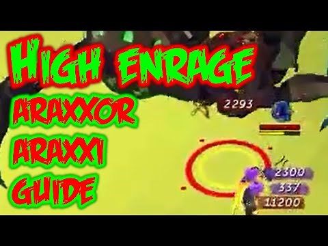 High Enrage (160-300%) Araxxor/Araxxi Guide - All phases and paths - Ranged & Melee