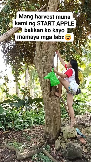 STAR APPLE ❣️ | Rade Entes