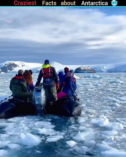 Top 3 Craziest Facts about Antarctica 🥶
