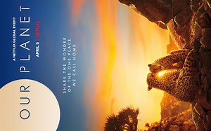 【4K压制Netflix中英文字幕超清1080P画质收藏版】4年走遍全球50个国家600名工作人员3500个拍摄日 我们的星球 Our Planet 2019