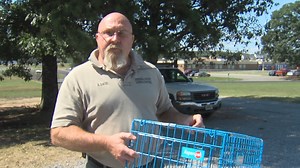 Campbell County investigators looking for whoever shot puppy in head, left it to die