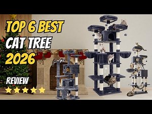 Top 6 Best Cat Trees 2026 | Top Towers for Kittens, Large Cats & Multi-Cat Homes