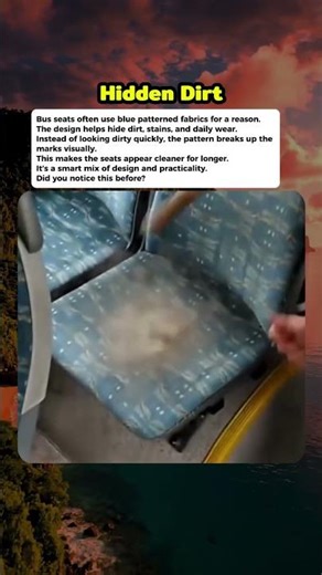 Why Bus Seats Are Always Blue #curiosity #mistery