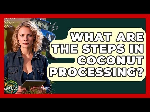 What Are The Steps In Coconut Processing? - The World of Agriculture