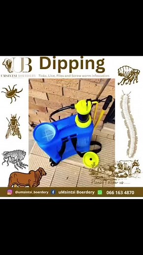 MultiDip (For external use on Cattle. Shake well before use. Protect from extremes of heat and cold) The combination emulsifiable concentrate to be used in a Plunge dip / Spray race/ Hand spray that controls ticks and kills lice. It has a tick detaching effect. Controls nuisance, biting and face flies. Protects against screw worm infestation in cattle. We applied Hand Spraying: 15 ml MultiDip per 10 L water. In a 16L Dipper Knap Sack (24ml of Multi Dip) Thoroughly wet the animal by spraying from