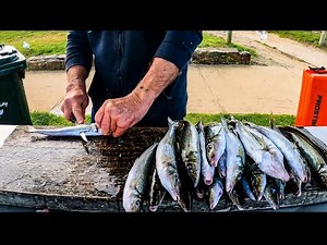 How to Fillet Skin & Clean King George Whiting