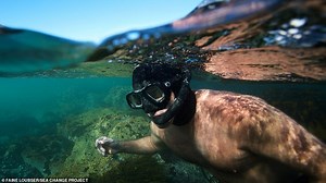 Moje učitelka chobotnice (2020) | ČSFD.cz