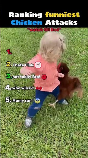Ranking FUNNIEST Chicken Attacks