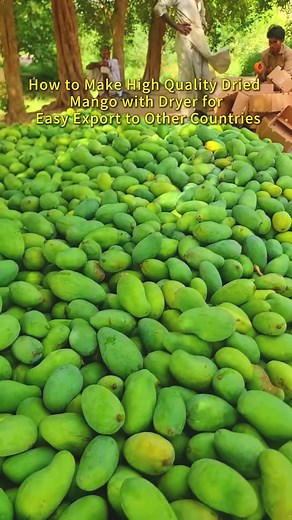 Drying equipment on TikTok