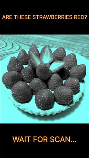 Are These Strawberries Red? 🍓 (The Answer Will Shock You) #shorts