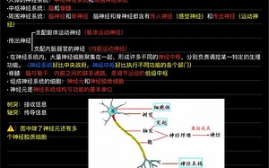 新人教版生物选择性必修一笔记/加油！