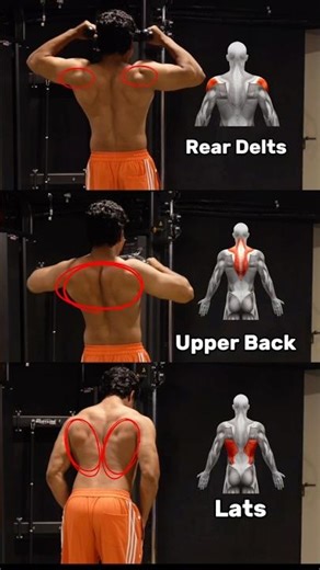 3 Cable Exercises for a Bigger Back #backworkout