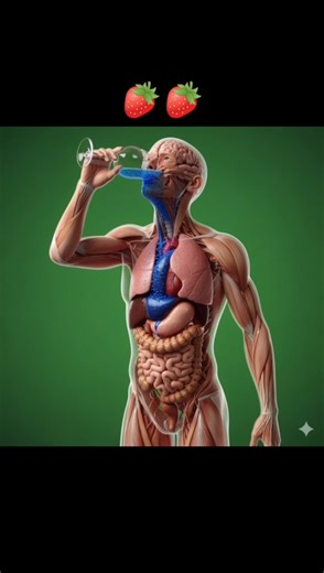 🍓Strawberry के Health Benefits और Side Effects | पूरी जानकारी