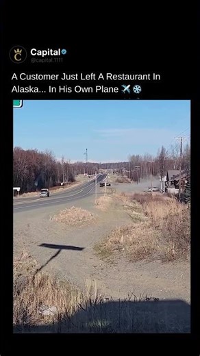 Where Planes Replace Cars — Life in Alaska Explained #shorts