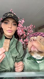 921K views · 6.1K reactions | Odin loves his 100% safe doggy chocolate because it taste like beef and chicken ❤️ #reelitfeelit #relax #reelsinstagram #reelsfb #reels #dogsofinstagram #tiktokviral #dogs #doglover #doglife #dog #dogmom | Bundleofbullies | Facebook